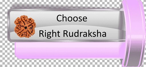 Best method to choose Rudraksha - Rudraksha Recommenation online